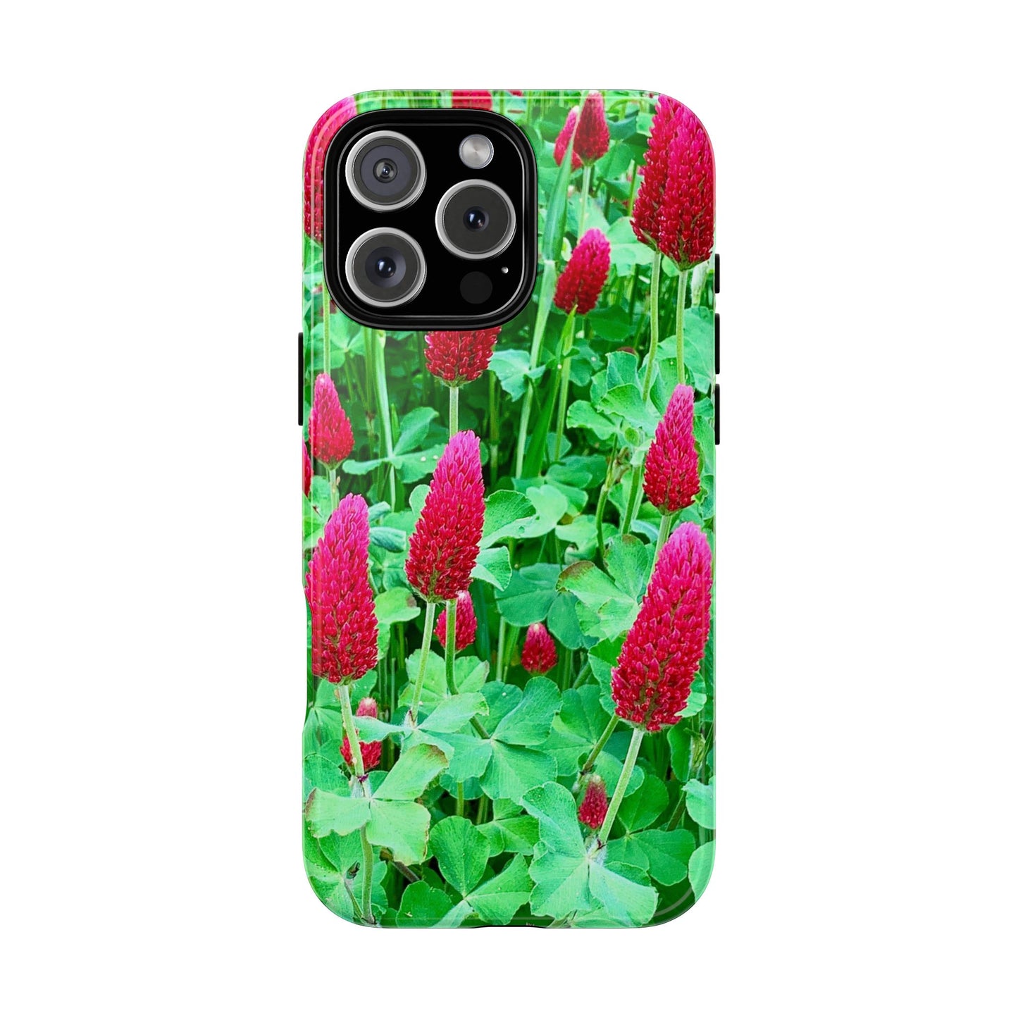 Cell Phone Cases - Ruby Red Clover Flowers And Heart Shaped Leaves