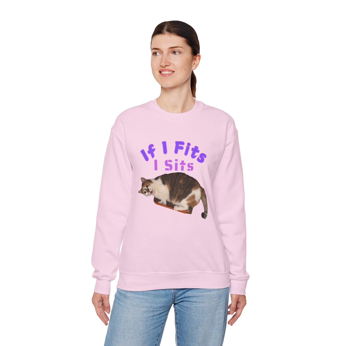 Cat Lover Unisex Sweatshirt With Humorous Quote