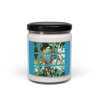 Butterfly Love - Soy Candle, 9oz