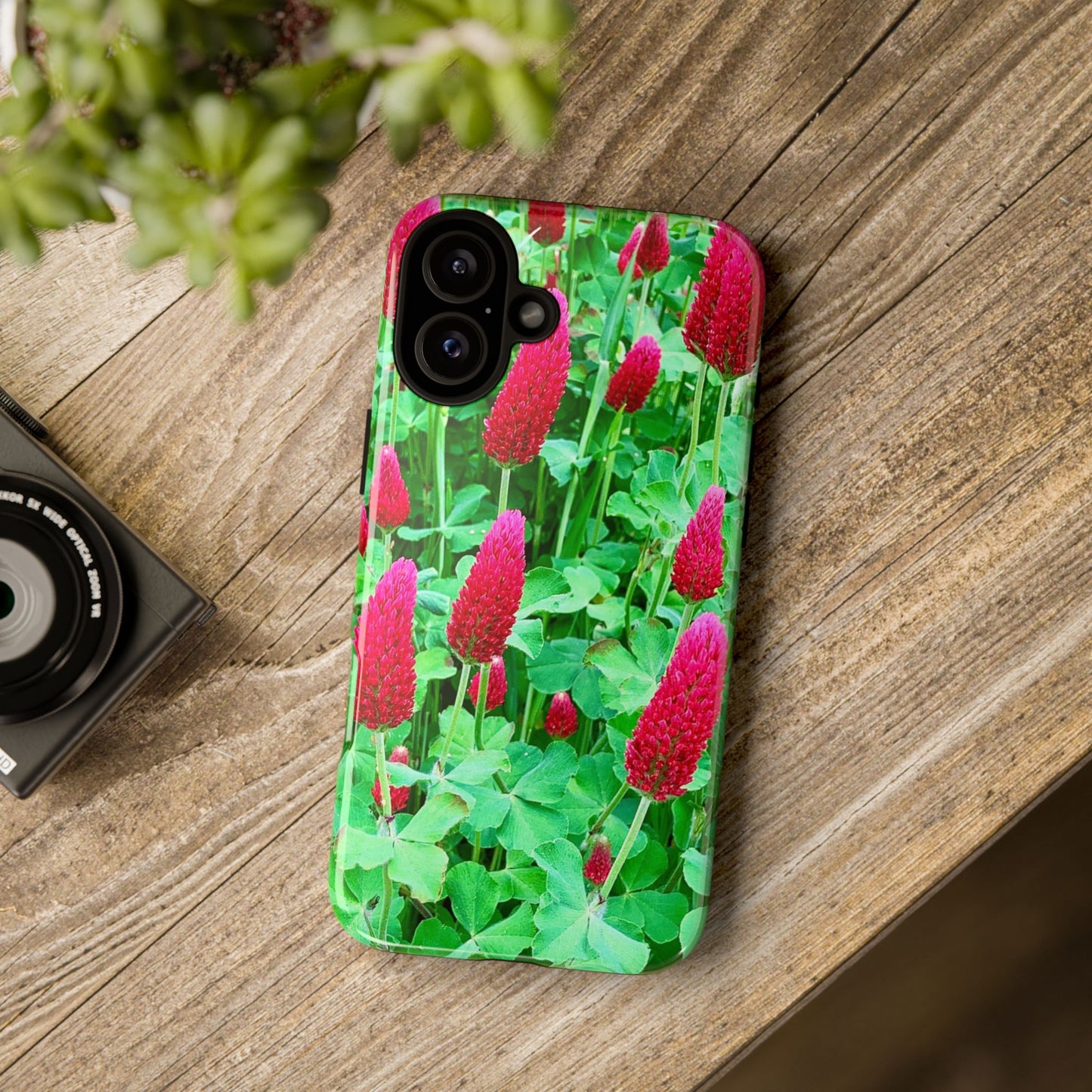 Cell Phone Cases - Ruby Red Clover Flowers And Heart Shaped Leaves