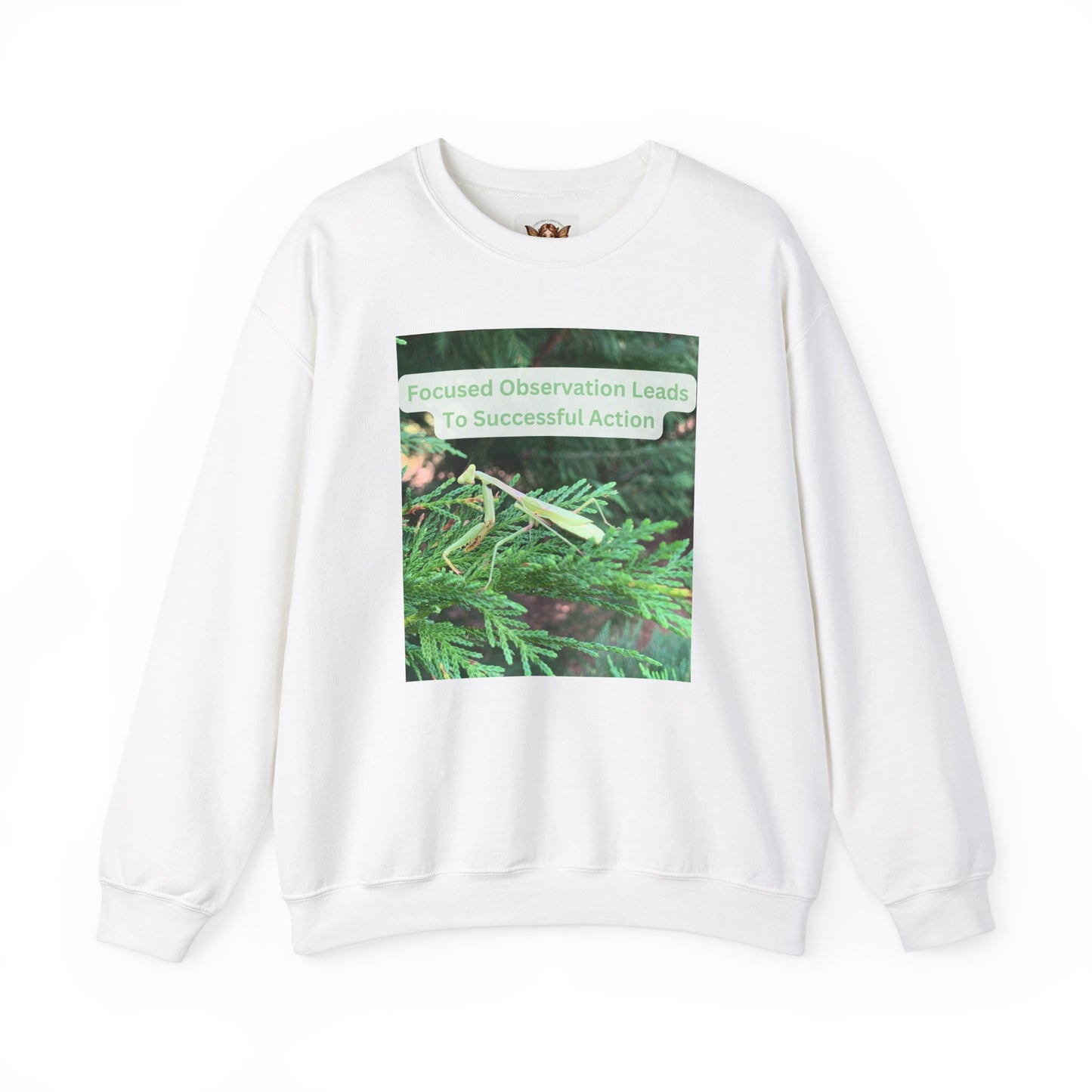 Mantis Sweatshirt with Inspirational Quote About Success